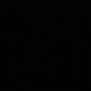 Meet your Posher, Bubba